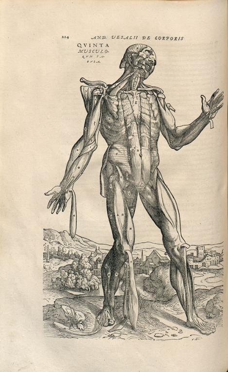 Photo no. 7 (21)
                                                         Andreas Vesalius, De humani corporis fabrica libri VII ; Bazylea, Ioannes Oporinus, 1555. 2o
                            